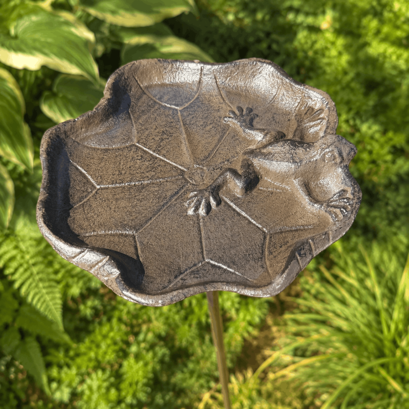 Bain d’oiseaux en fonte en forme de fleur avec grenouille décorative