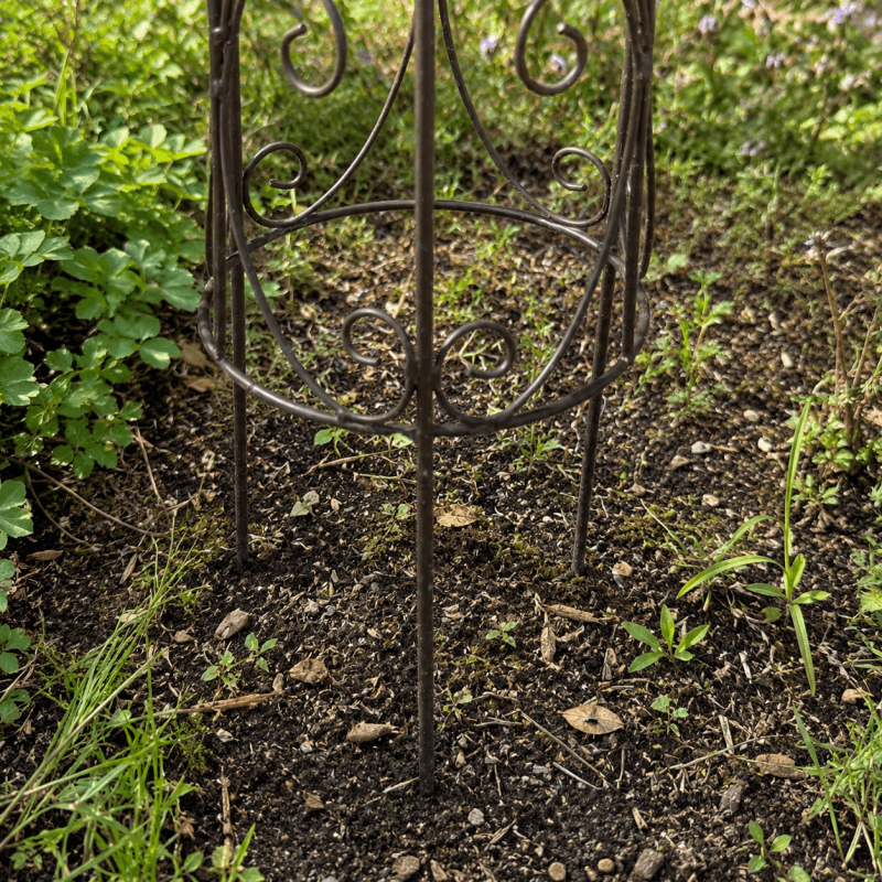 Tuteur décoratif en métal – détail des pieds et volutes