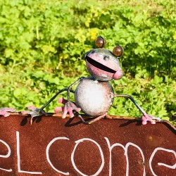 Pic, tuteur décoratif de jardin welcome grenouille