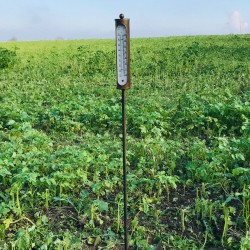 Thermomètre Extérieur Sur Le Sol Dans Le Jardin Banque D'Images et