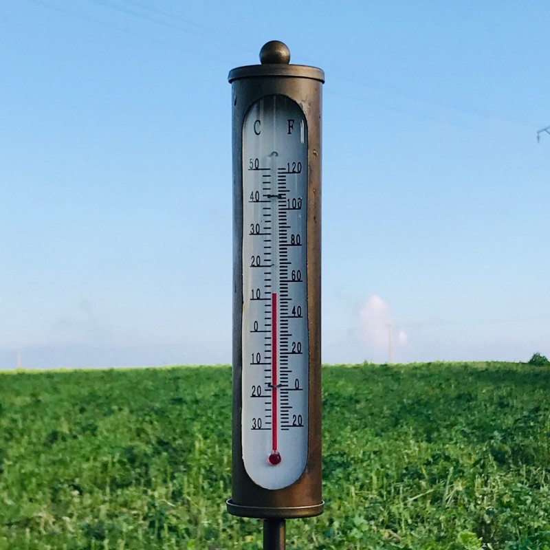 Pic, thermomètre de jardin en fer couleur bronze