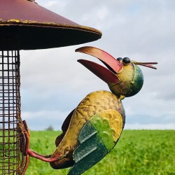 Pic de jardin décoratif, mangeoire en fer corbeaux colorés