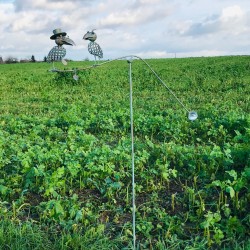 Pic de jardin décoratif, mobile, balancier en fer couple de corbeaux vue entière 