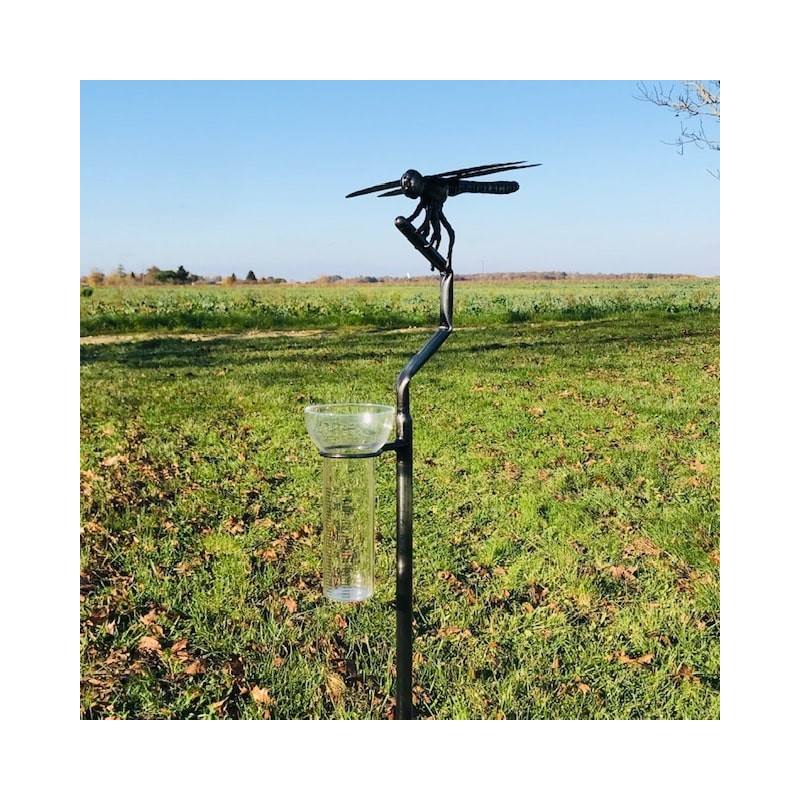 déco de jardin inox  pluviomètre haut de gamme lézard du jardin