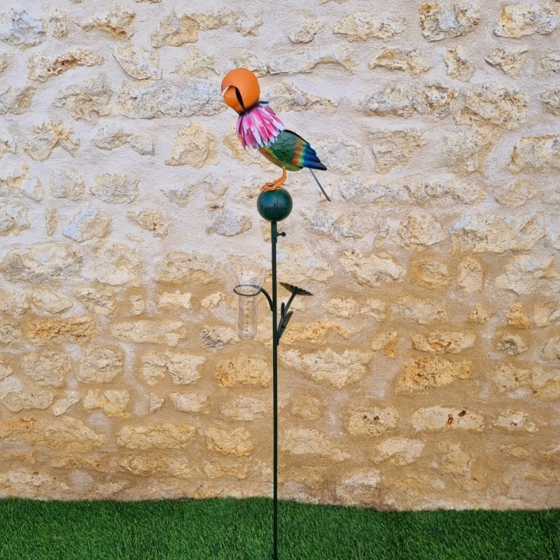Pluviomètre décoratif motif perroquet coloré 152x30x17 cm vue entière 