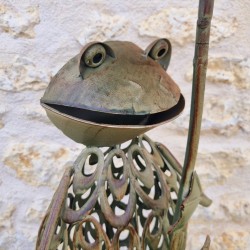 Grenouille bain d'oiseau fer vue de la tête