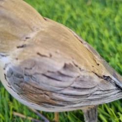 Oiseau en résine 