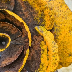 Fleur jaune avec feuilles