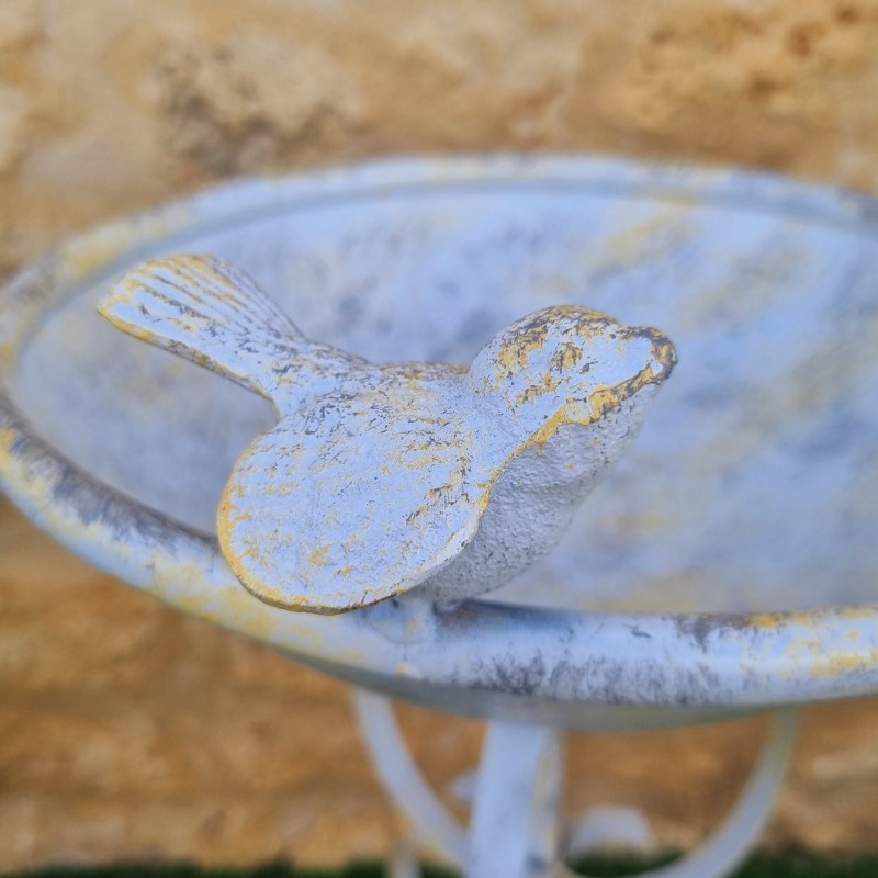 Bain d'oiseau en fer et fonte sur pieds vue de coté