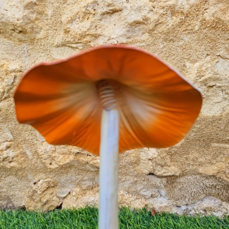 Champignon en fer à planter rouge a poids 14,90 € LEZARD DU JARDIN