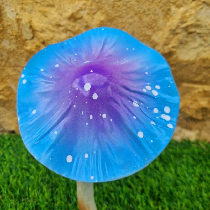  Champignon en fer à planter bleu et violet a poids 14,90 € LEZARD DU JARDIN