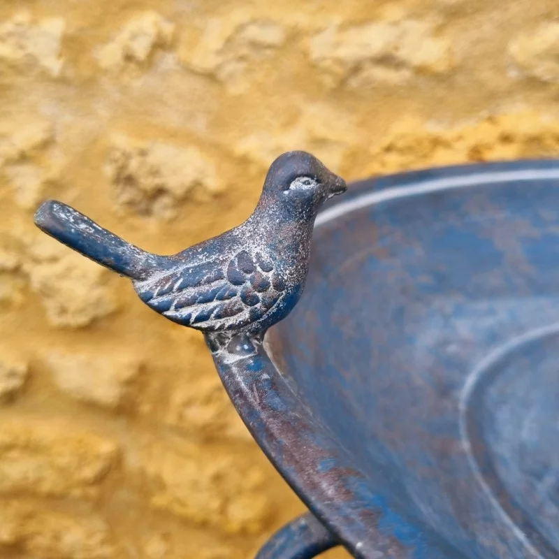Bain d'oiseaux, mangeoire en fer vue en détail des oiseaux