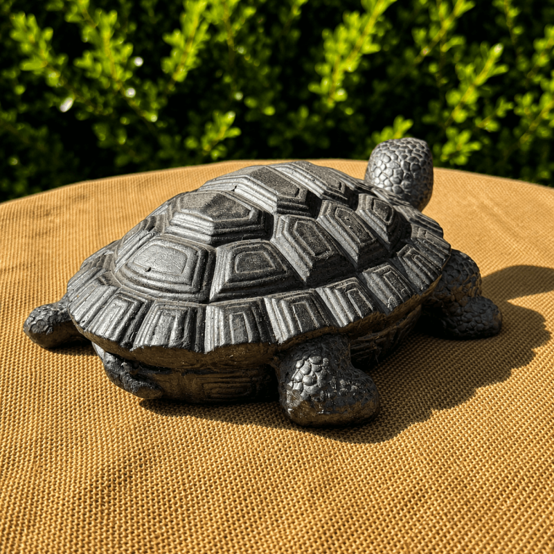 Tortue de jardin en résine effet pierre- vue de derrière