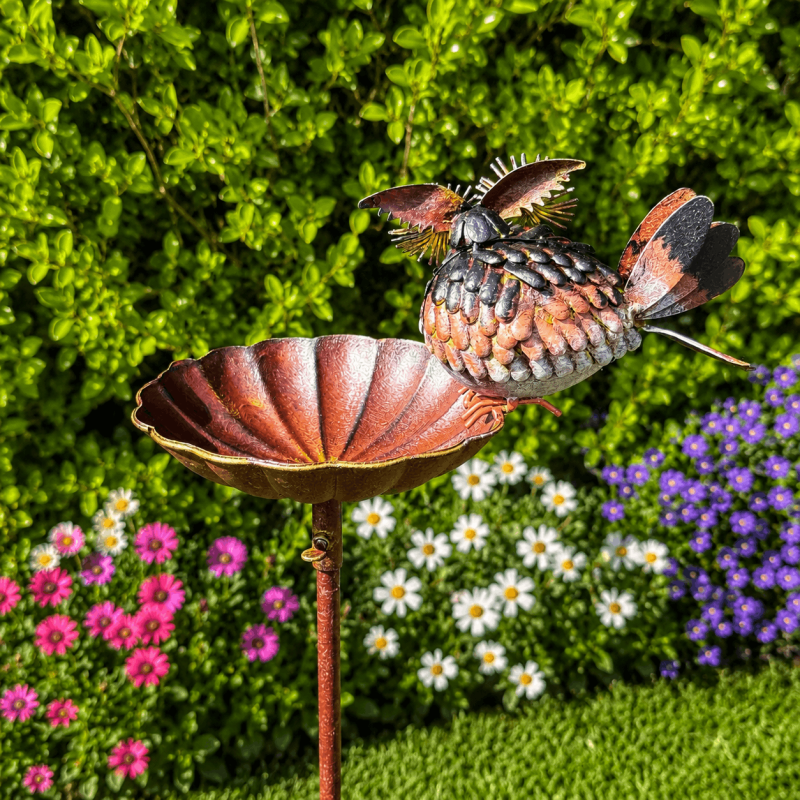 Mangeoire abreuvoir à oiseaux sur pic- vue de derrière