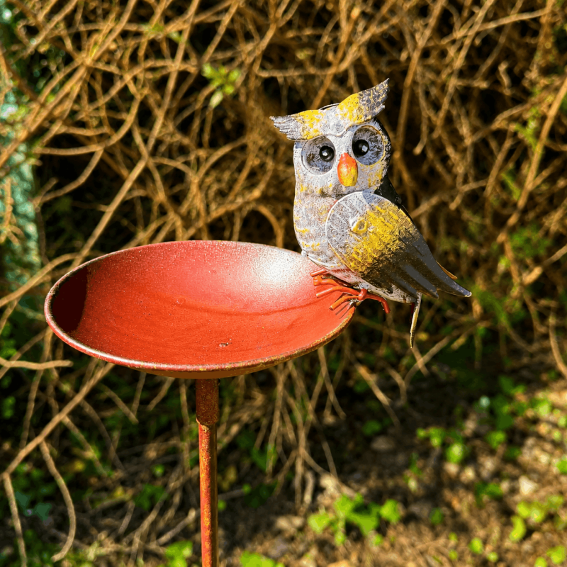 Bain d'oiseaux sur pied avec chouette