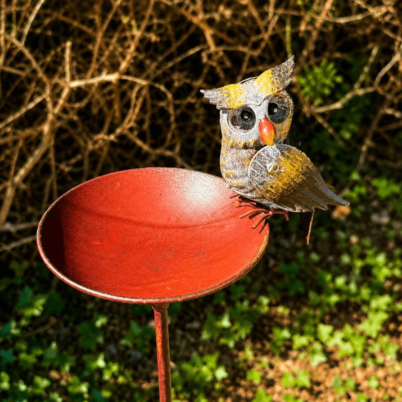 Bain d'oiseaux sur pied avec chouette- vue du dessus