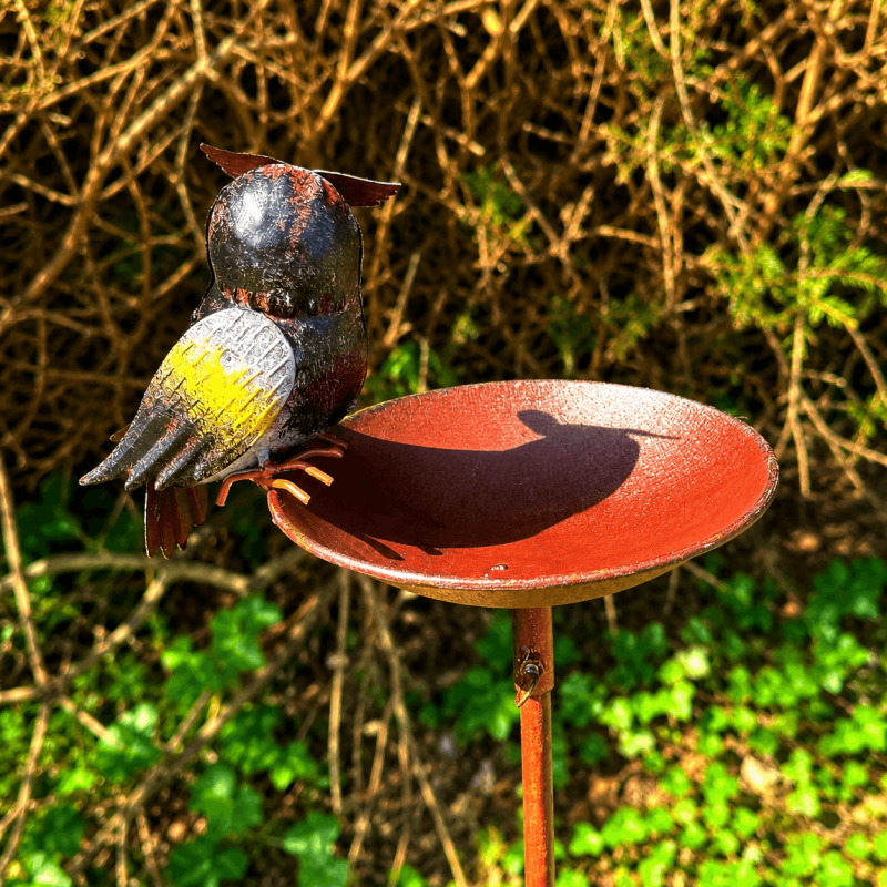 Bain d'oiseaux sur pied avec chouette- vue de derrière