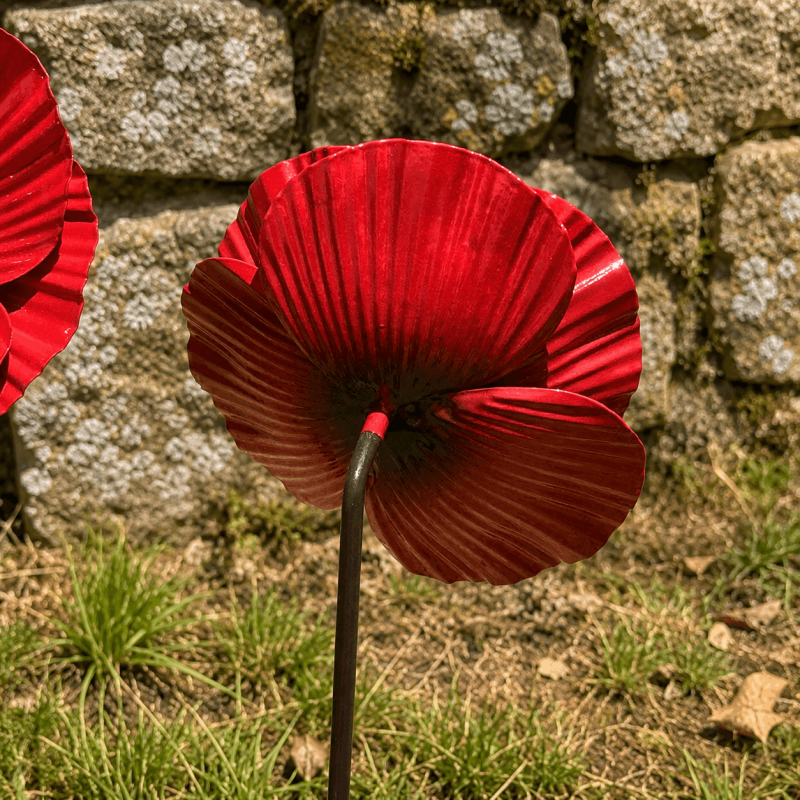 Lot de 3 coquelicots décoratifs en métal à piquer- vue de derrière