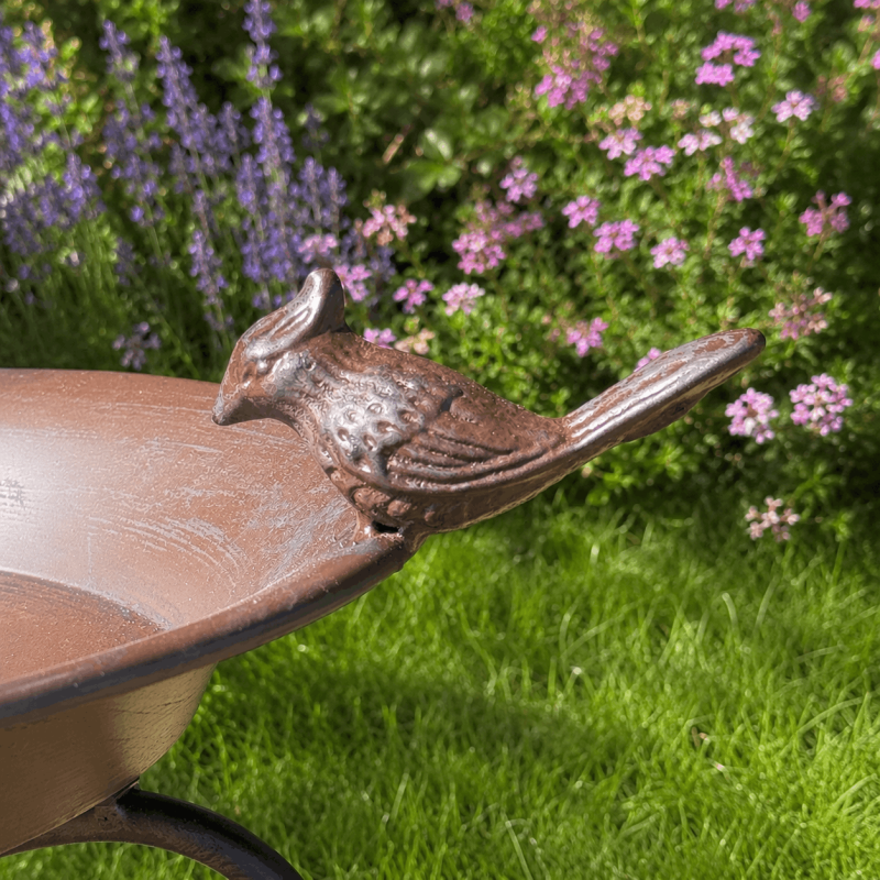 Bain d’oiseaux sur pied marron patiné- vue de l'oiseau