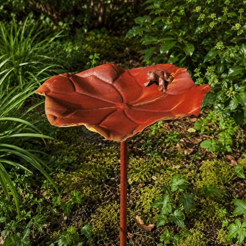 Bain d'oiseaux nénuphar en métal avec grenouille