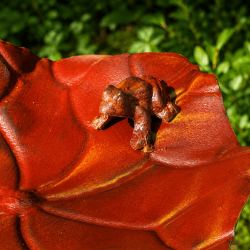 Bain d'oiseaux nénuphar en métal avec grenouille- vue de la grenouille
