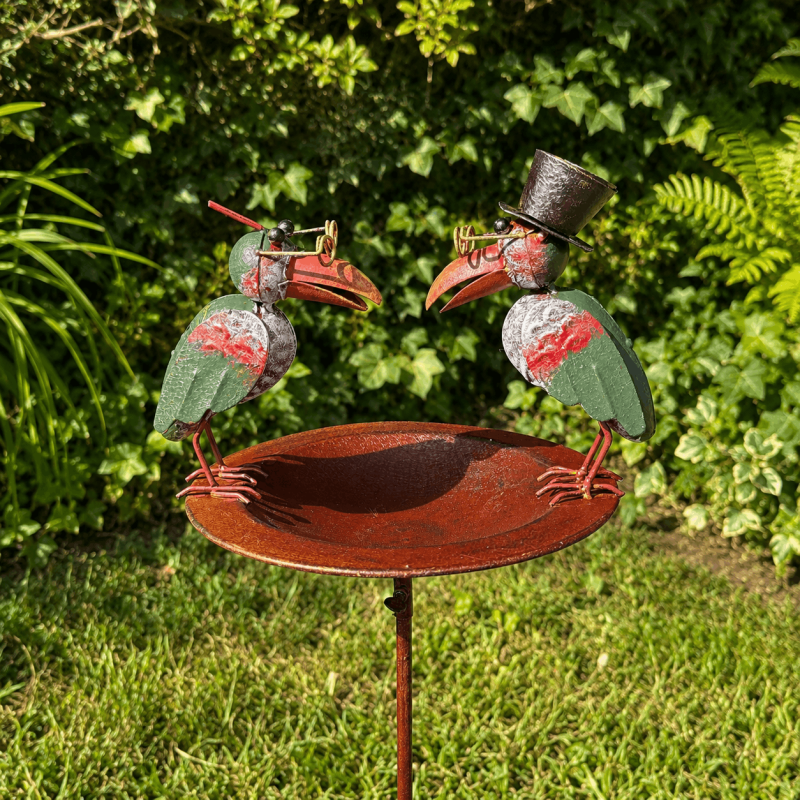 Mangeoire oiseaux corbeaux