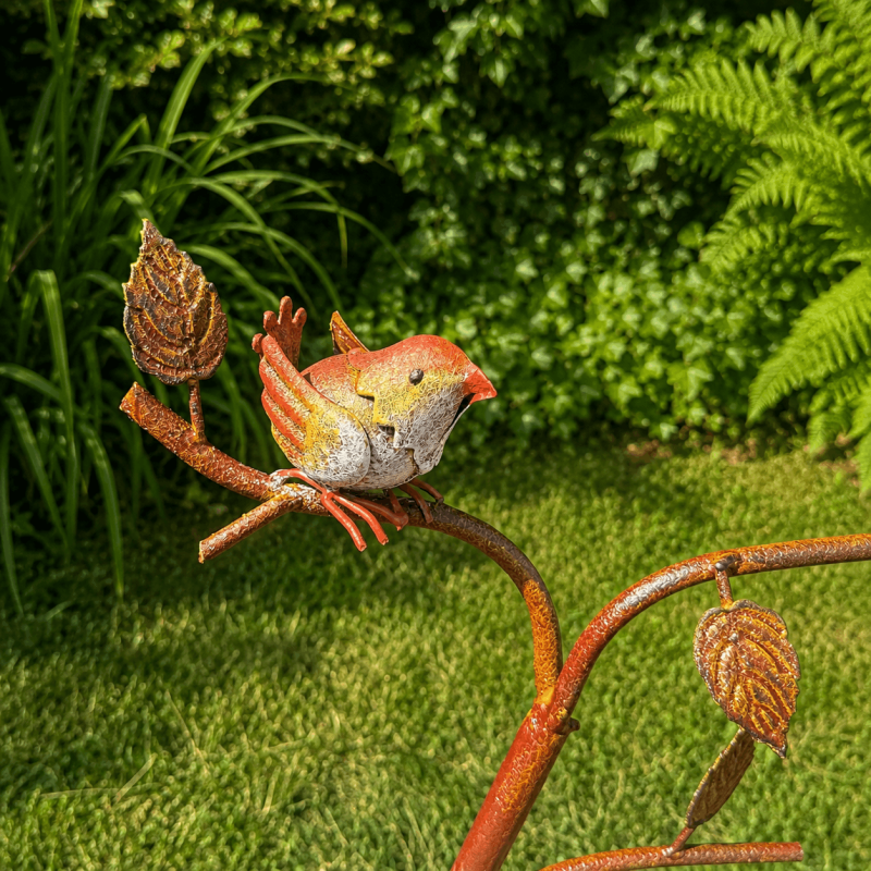 Bain d’oiseaux feuille- vue de l'oiseau