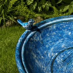 Bain d’oiseaux sur pied- vue de l'oiseau