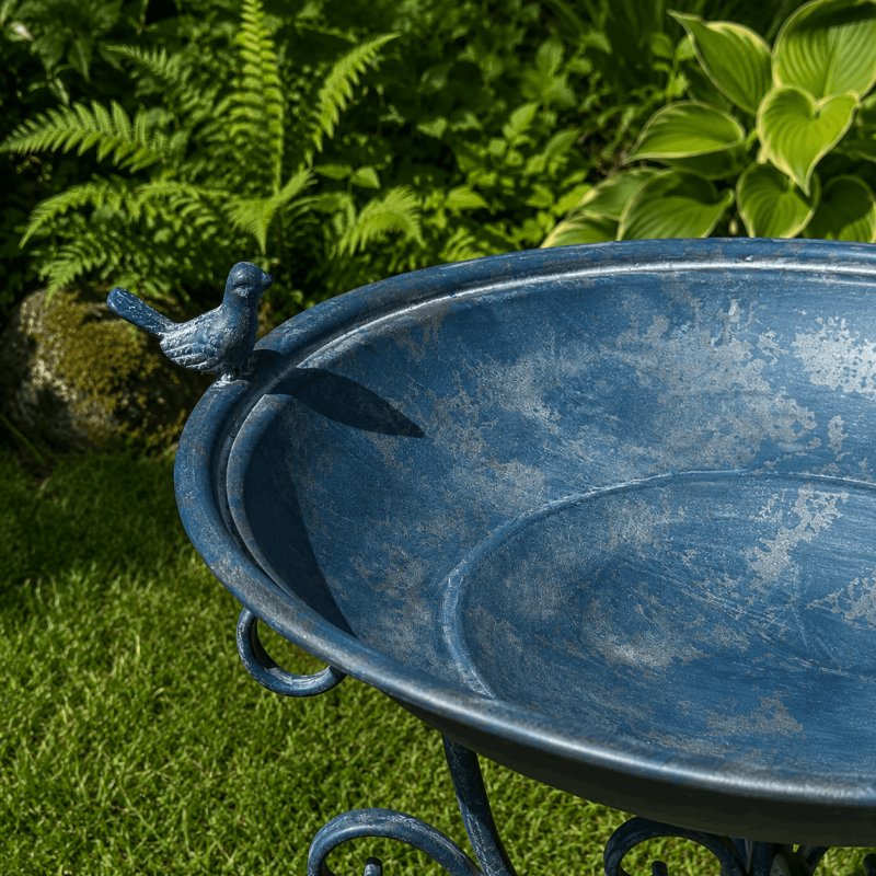 Bain d'oiseaux, mangeoire en fer forgé sur pied- vue de l'oiseau