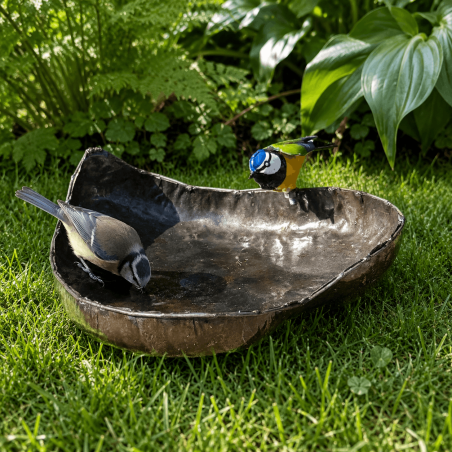 Bain d'oiseaux cœur