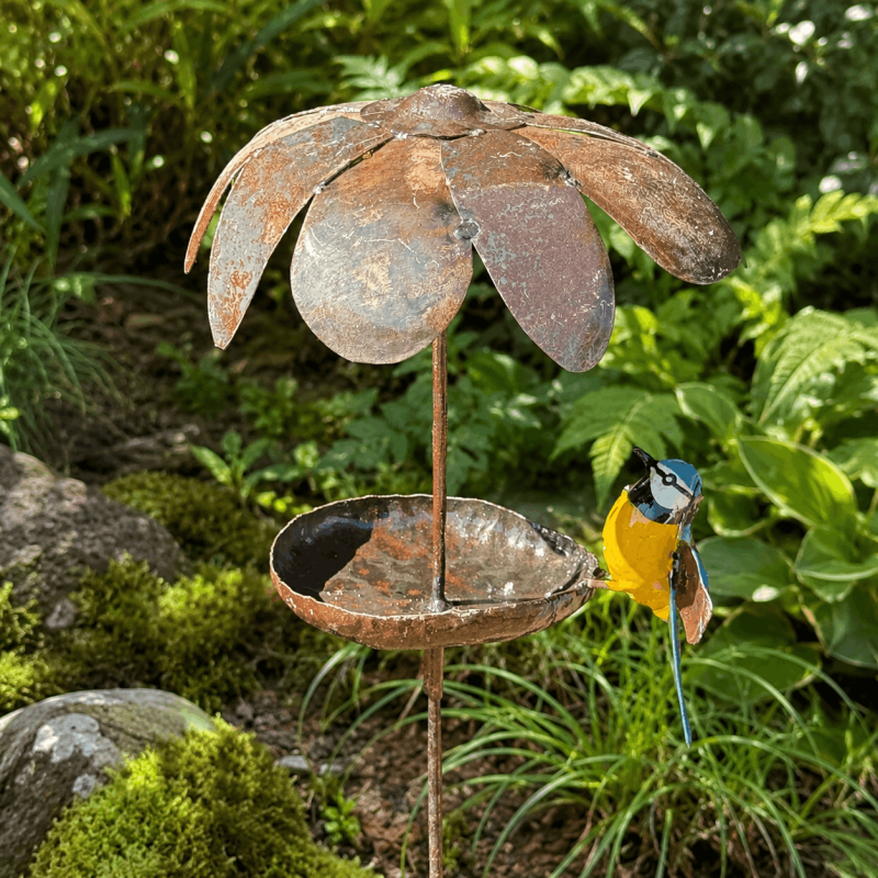 Mangeoire à oiseaux sur pic