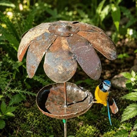 Mangeoire à oiseaux sur pic- vue de dessus