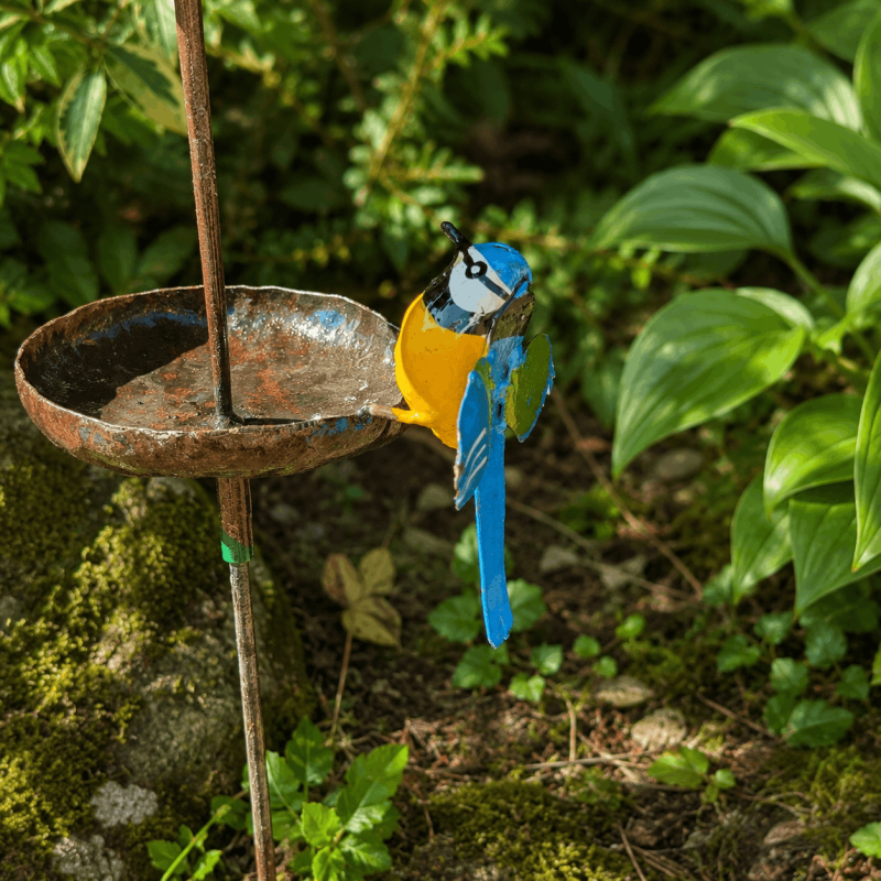Mangeoire à oiseaux sur pic- vue de l'oiseau