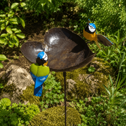 Mangeoire abreuvoir cœur à oiseaux