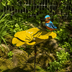 Fleur décorative de jardin- vue de côté