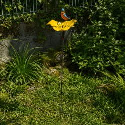 Fleur décorative de jardin- vue d'ensemble