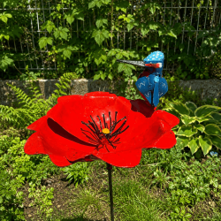 Fleur décorative de jardin- vue de côté