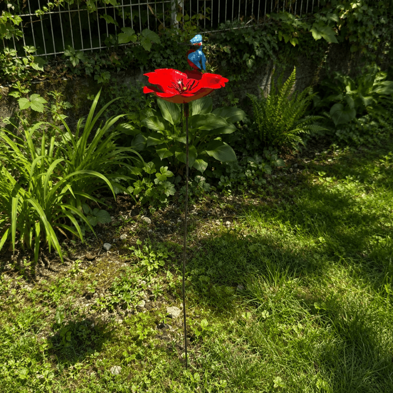 Fleur décorative de jardin- vue d'ensembe