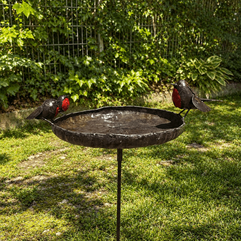 Bain d’oiseaux mangeoire