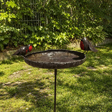 Bain d’oiseaux mangeoire