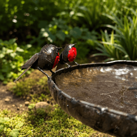 Bain d’oiseaux mangeoire- vue des petits oiseaux