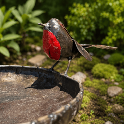 Bain d’oiseaux mangeoire- vue de l'oiseau