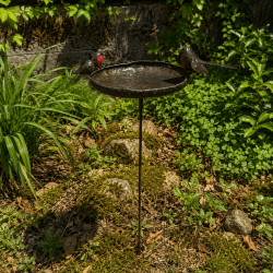 Bain d’oiseaux mangeoire vue d'ensemble