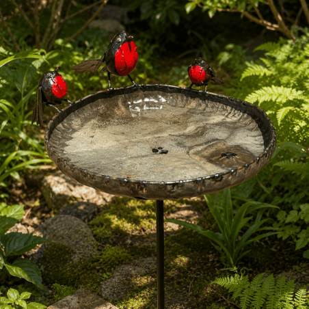 Bain d'oiseaux