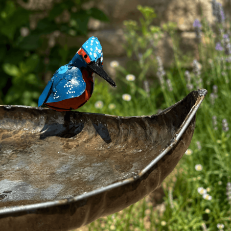 Baignoire à oiseaux- vue de l'oiseau