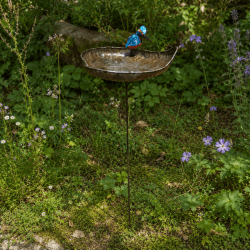 Baignoire à oiseaux- vue d'ensemble