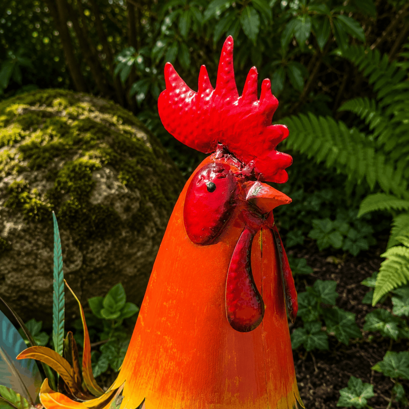 Tête expressive du coq en métal