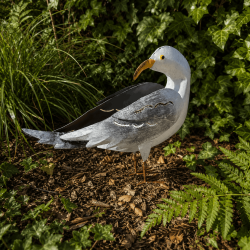 Mouette décorative en métal dans le jardin