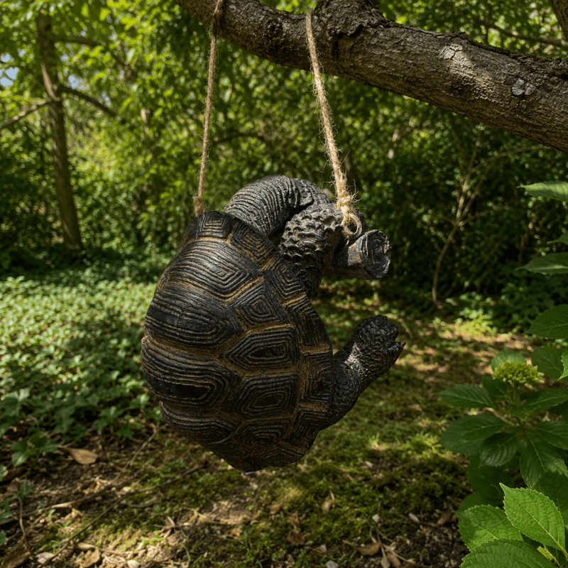 Vue arrière de la carapace de la tortue suspendue
