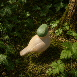 Détail du plumage et du béret vert de l’oiseau